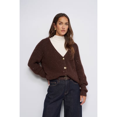 CARDIGAN À PAILLETTES SALSA JEANS