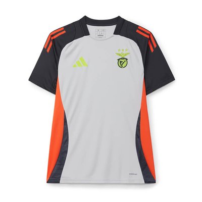 T-shirt Treino Cinza 2024-2025, SL Benfica SL BENFICA