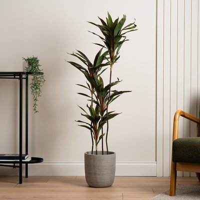 120cm Real Touch Artificial Red Dracaena SO'HOME