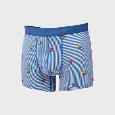Boxer en coton biologique FANTAISIE BILLYBELT