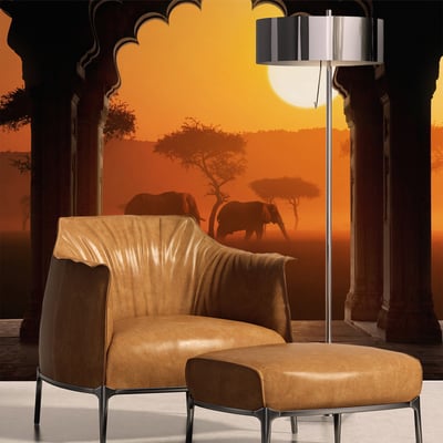 Papier peint intissé panoramique Paysage Hear Africa EDEN