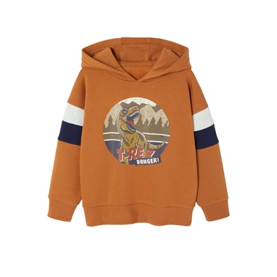 Sweat Capuche Print Placé VERTBAUDET