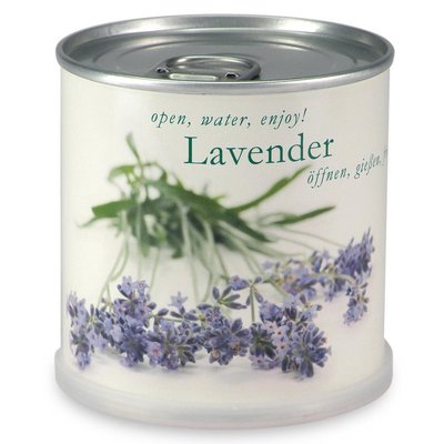 Lavande à faire pousser en boite MAC FLOWERS