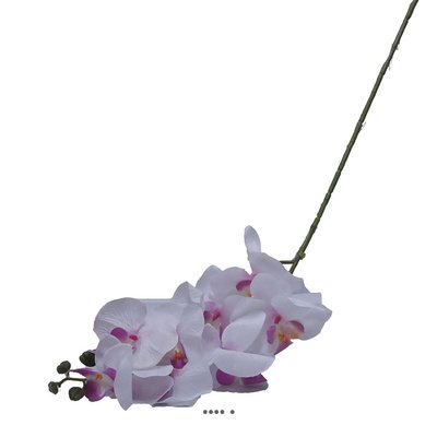 Branche de fausse orchidée pour décoration ARTIFICIELLES