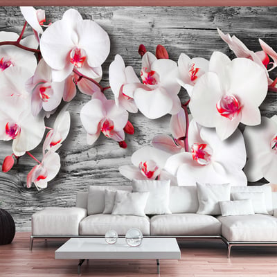 Papier peint intissé panoramique Fleurs Callous orchids EDEN