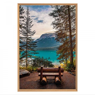 Tableau Mural Mat Encadré Mountain & Lake FORÊT CEANOTHE