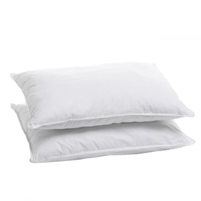 Lot de 2 Oreillers volume moelleux BLEU CALIN