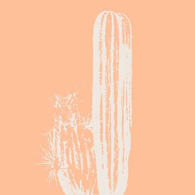 Tableau Mural Cactus Bohême NATURE ÉVASION CEANOTHE