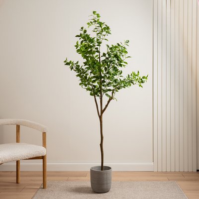 180cm Artificial Real Touch Ficus Tree SO'HOME