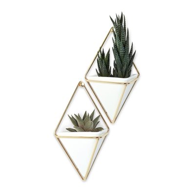 Lot de 3 pots muraux Trigg UMBRA