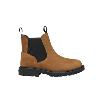 Bottines Cuir  Shaylax GEOX