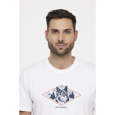 T-shirt manches courtes coton comfort ALOUSKI LEE COOPER