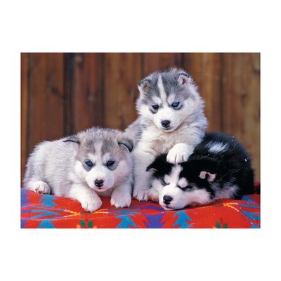 Puzzle XXL 200p Mignons Huskies RAVENSBURGER