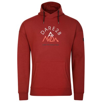 Sweat à capuche DISTINCTLY DARE 2B