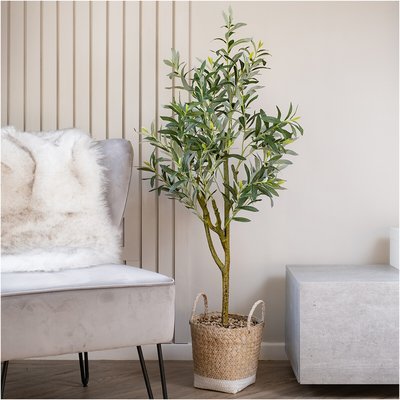 125cm Olive Tree in Basket SO'HOME