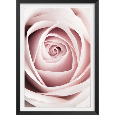 Affiche  coeur de roses HEXOA