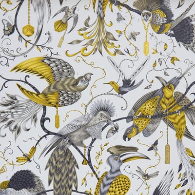 Audubon Wallpaper EMMA J SHIPLEY