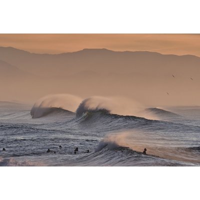 Tableau plage hossegor mouettes au pic HEXOA