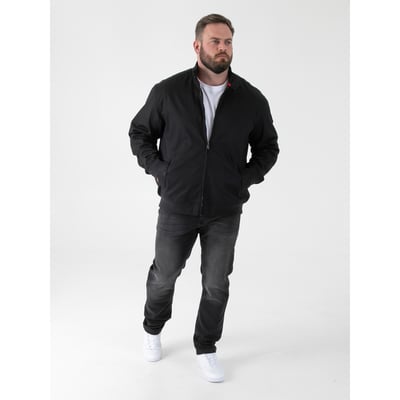 Blouson Harrington grande taille KENT DUKE
