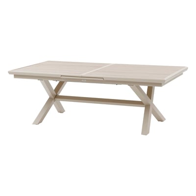 Table de jardin extensible 10 places en aluminium effet bois AXIOME HESPERIDE