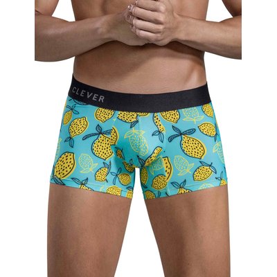 Boxer Lemons CLEVER
