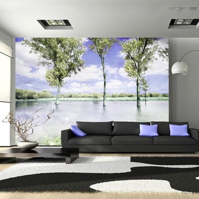 Papier peint intissé panoramique Paysage Spring scenery EDEN