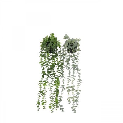 Plante succulente retombante artificielle 50cm lot de 2 LIGNE DECO