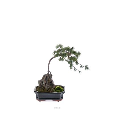 Bonsaï Pinus artificiel, sur pierre, pot fin ARTIFICIELLES