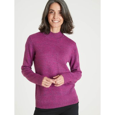 Pull manches longues col montant DAXON