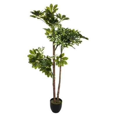Schefflera artificiel ATMOSPHERA