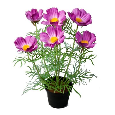 Cosmos fleuries artificielle en pot H 40 cm ARTIFICIELLES