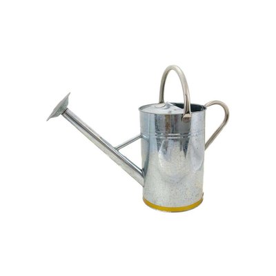 Arrosoir en acier galvanisé 9 litres JARDINDECO