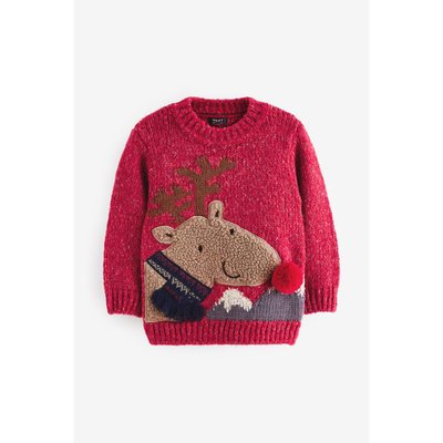 Pull de noël NEXT