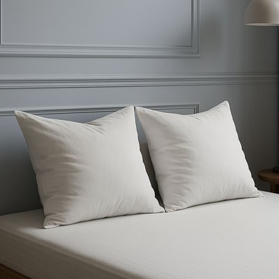 Oreiller grand confort (lot de 2) SOMEO