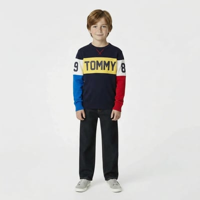 Pull  - Très bon état TOMMY HILFIGER