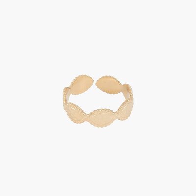 Bague ajustable Acier BALABOOSTE