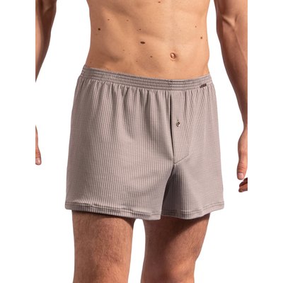 Boxer RED2208 OLAF BENZ