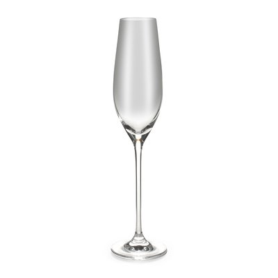 Lot de 6 verres à champagne CUVEE SALT & PEPPER