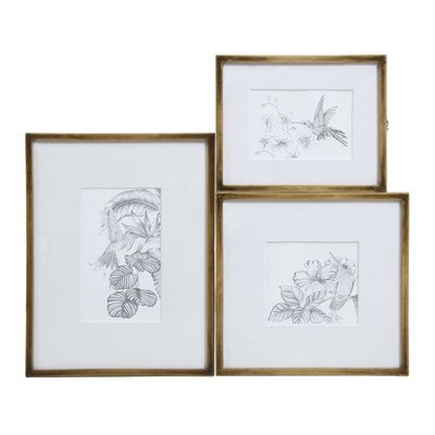 Cadre Oiseaux Crayonnés (Set De 3) - CHARME INTERIOR'S