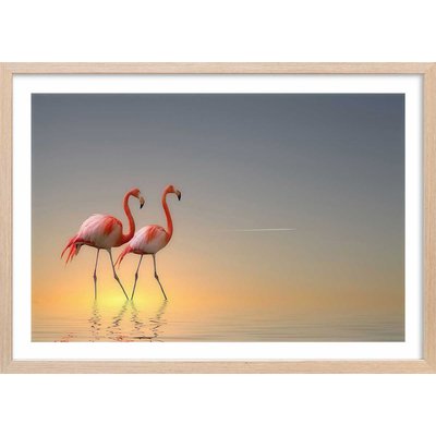 Affiche animaux flamands bleus HEXOA