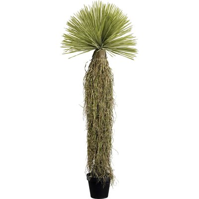 Plante décorative Yucca 180cm KARE DESIGN