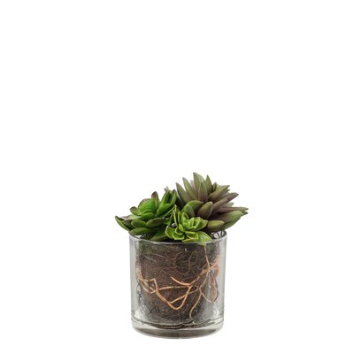 Mix de succulentes artificielles en vase H17 SIA DECO