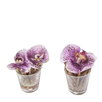 Set de 2 orchidées en illusion d'eau artificielles D10 SISSI SIA DECO