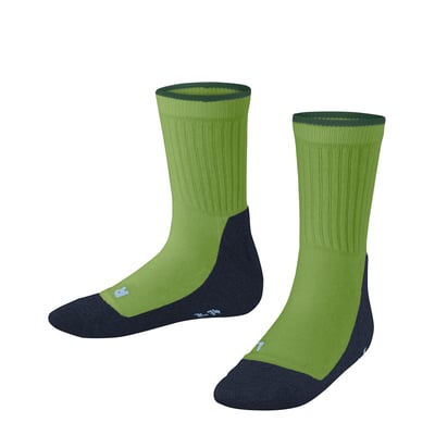 Chaussettes Active Everyday FALKE