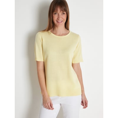 Pull encolure ronde manches courtes DAXON