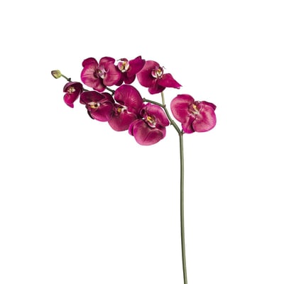 Tige d'orchidée phalaenopsis artificielle H87 SIA DECO