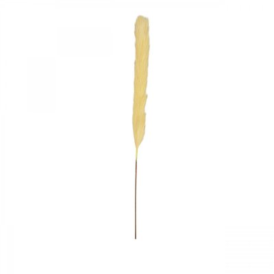 Plumeau artificiel champagne 77cm lot de 4 LIGNE DECO