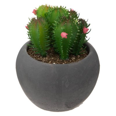 Cactus artificiel ATMOSPHERA