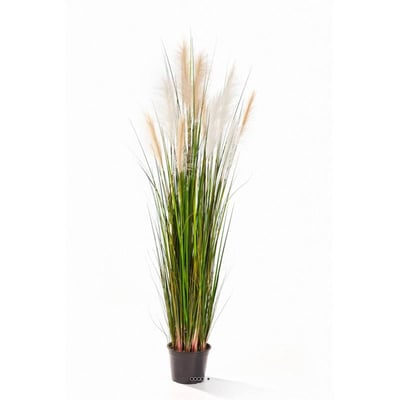 Graminee artificielle creme H 180 cm ARTIFICIELLES