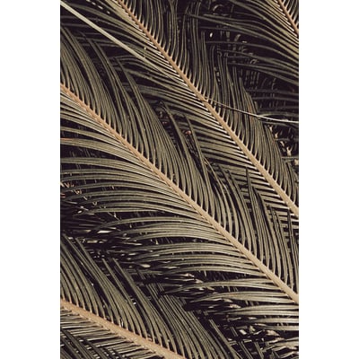 Tableau palm island HEXOA